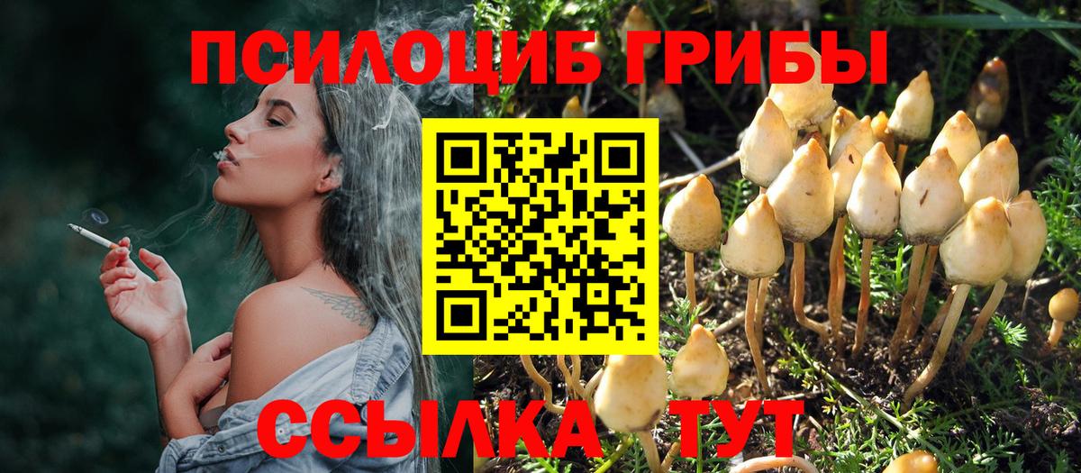 Галлюциногенные грибы MAGIC MUSHROOMS Когалым